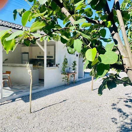 Airport Blue Eye Apartment Dalaman Best Location Also Suitable For Day Rentals Ideal For Air Travelers, 5 Km Close To Airport Экстерьер фото